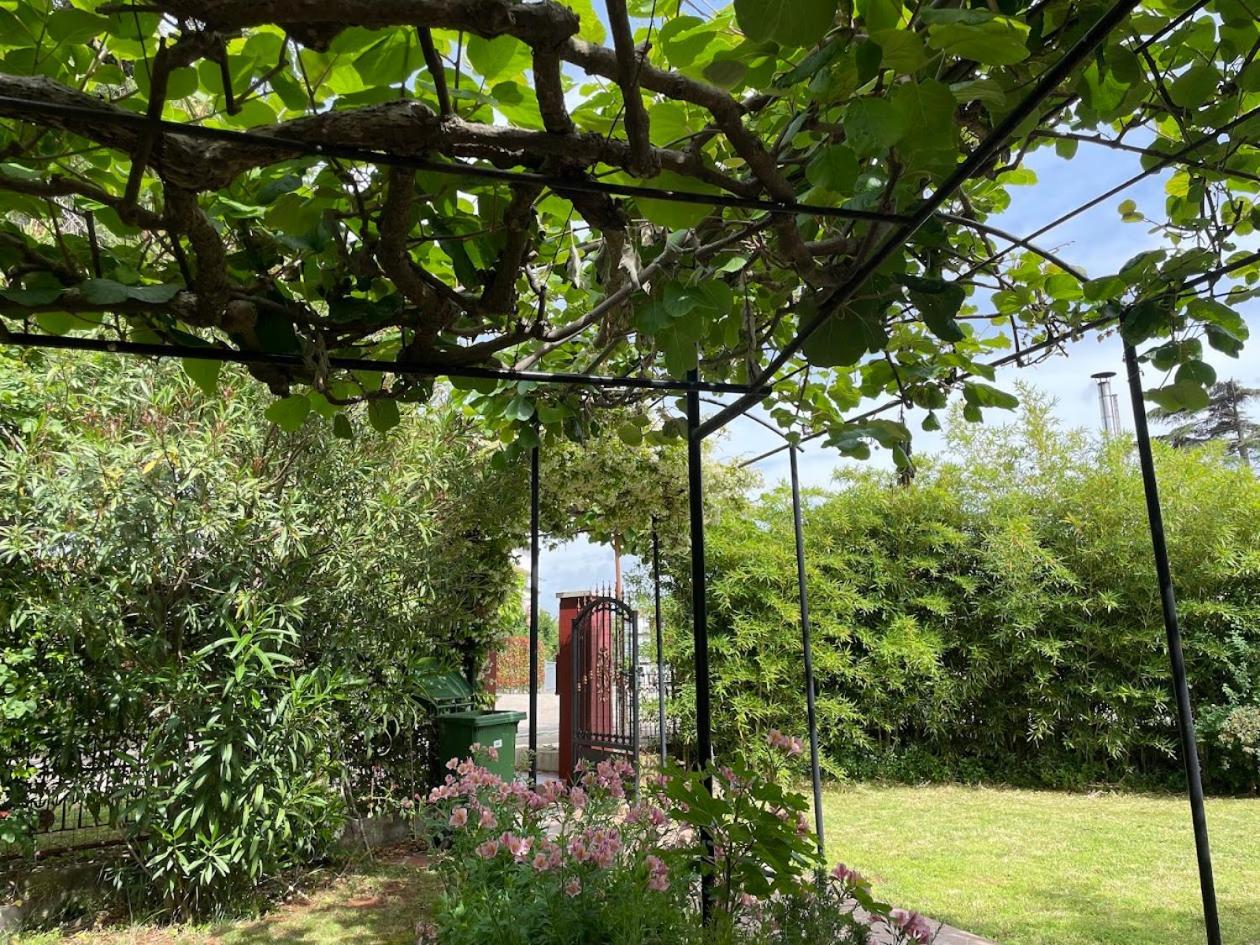 Apartment Casa Del Sol Novigrad Istria 外观 照片